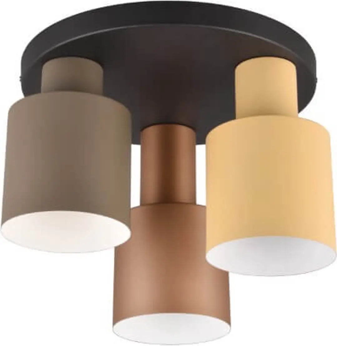 Trio Agudo Plafondlamp 3-lichts