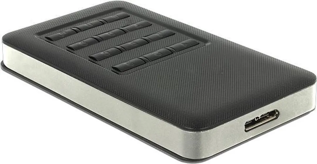 Delock DLCK-42594 M.2 SSD Behuizing
