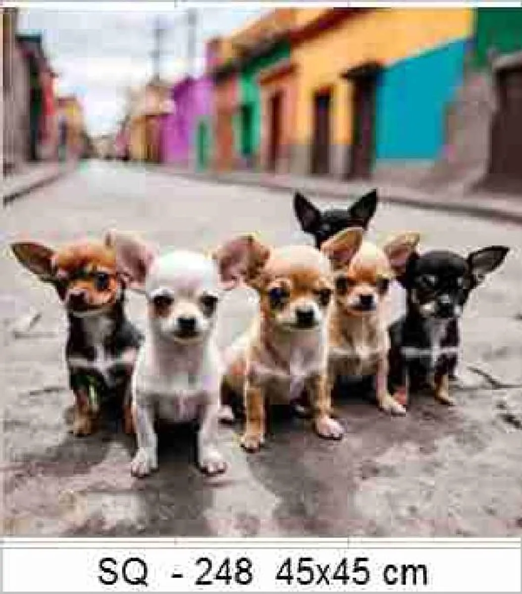 VDTOYS DIAMOND Painting VDTD248 Chihuahua - 45x45cm