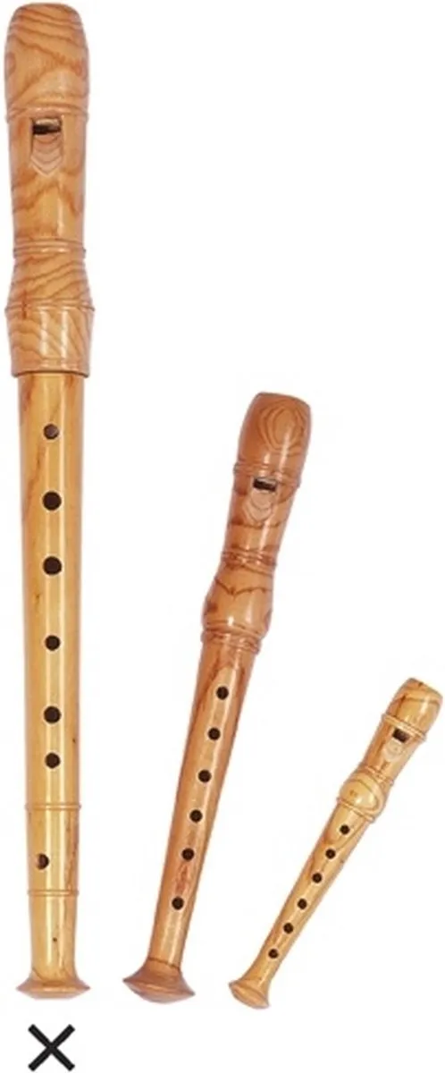 Goki Recorder - Multi