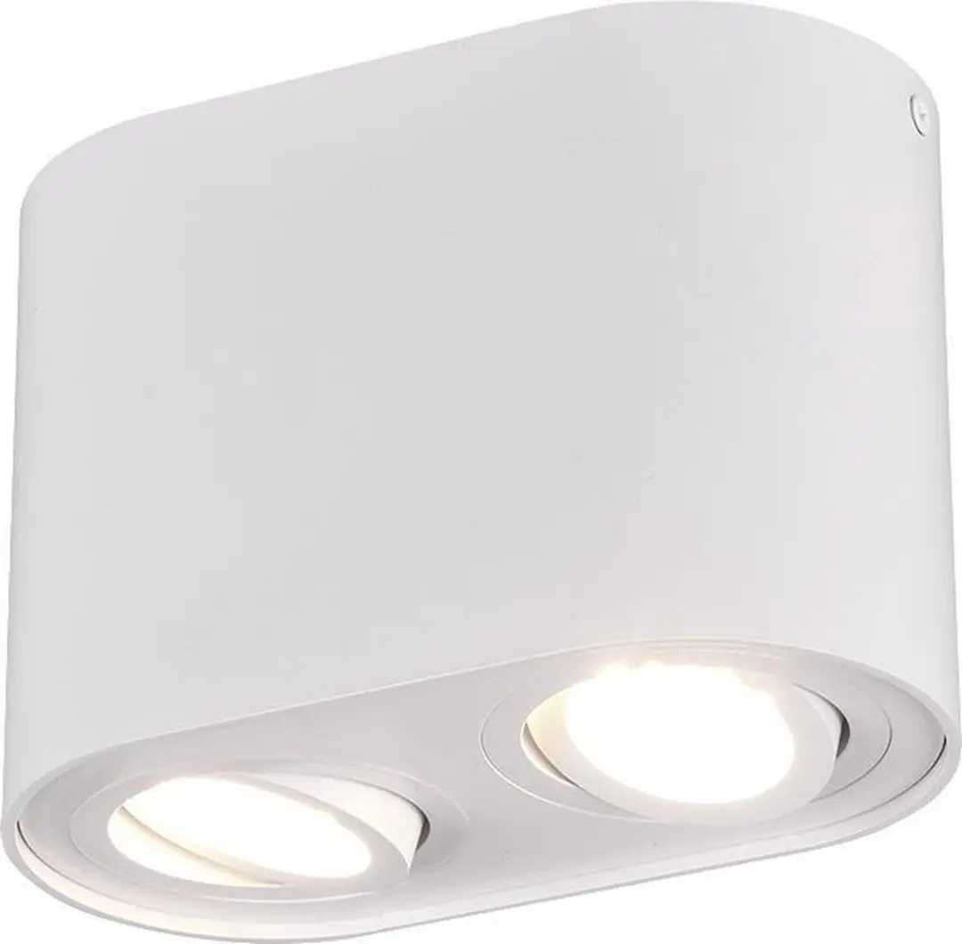Trio Cookie Plafondlamp 2-lichts