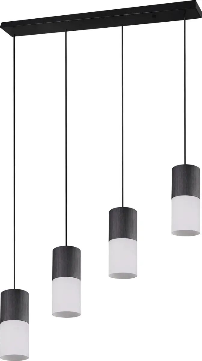 Hanglamp Trio Leuchten Robin