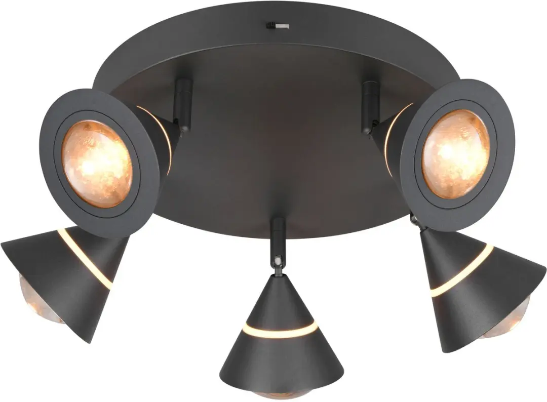 TRIO Romeo Plafondlamp