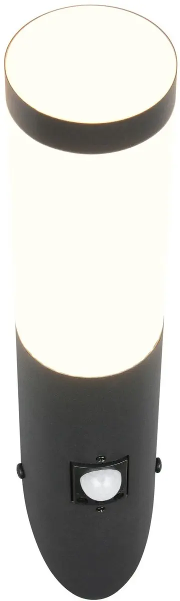 Trio Trioto 209769132 Buitenwandlamp - Zwart Mat - afbeelding 5 van 5