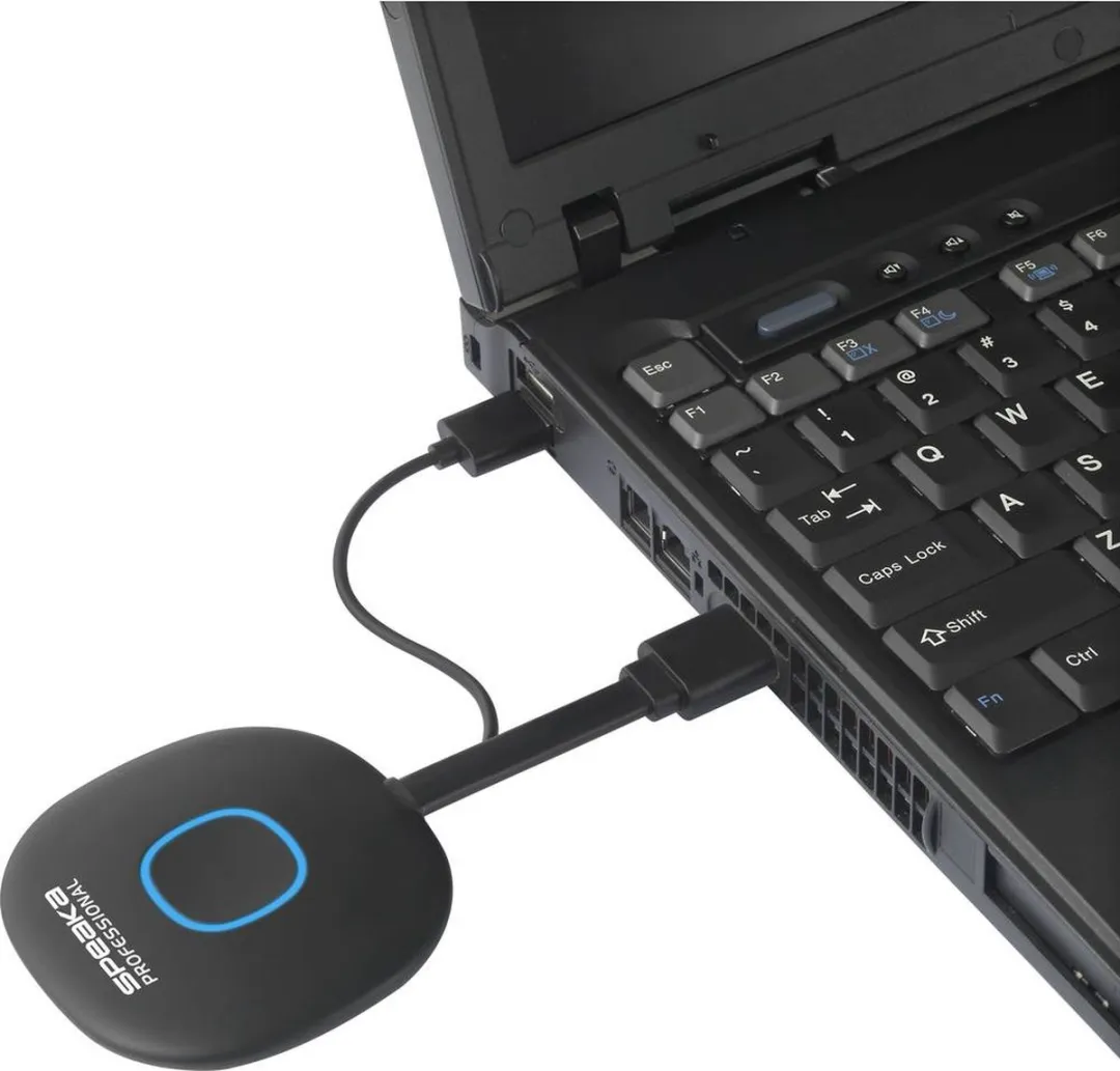 SpeaKa Professional SP-VShareZ Draadloze Zender - Zwart