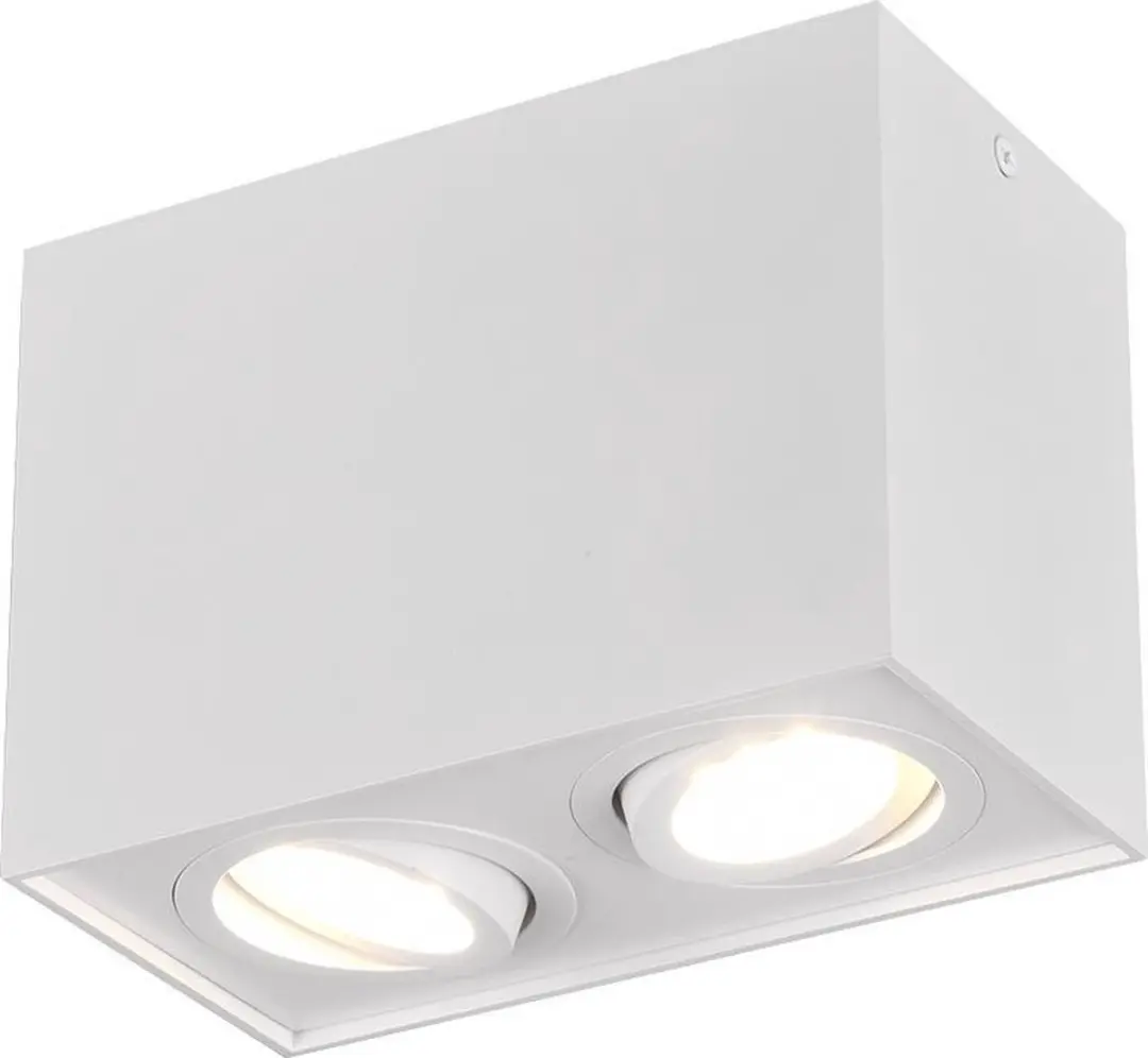 Trio Biscuit 613000231 Plafondlamp