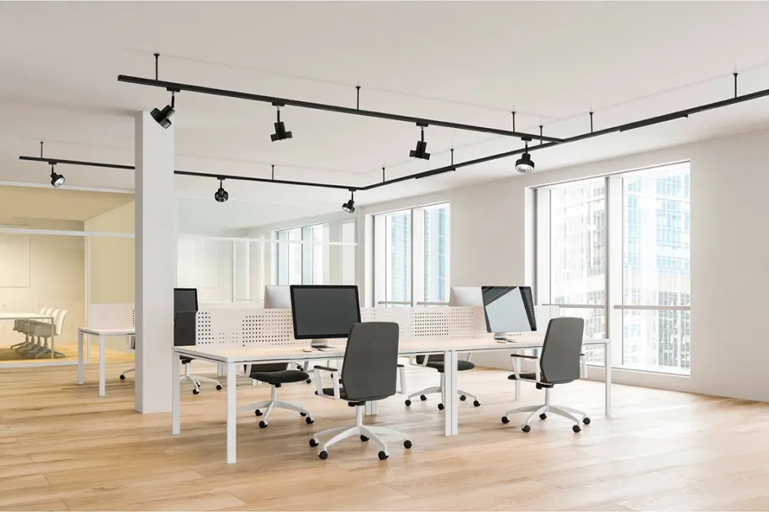 Trio DUOLINE 703031 Eindkappen 2-Fase - 2 Stuks - Wit - afbeelding 3 van 5