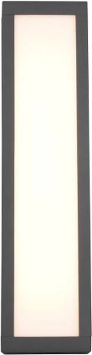 TRIO FUERTE - Wandlamp - Antraciet - incl. 1x SMD 10,5 W - Voetschakelaar - Buitenverlichting - IP54 - afbeelding 4 van 6