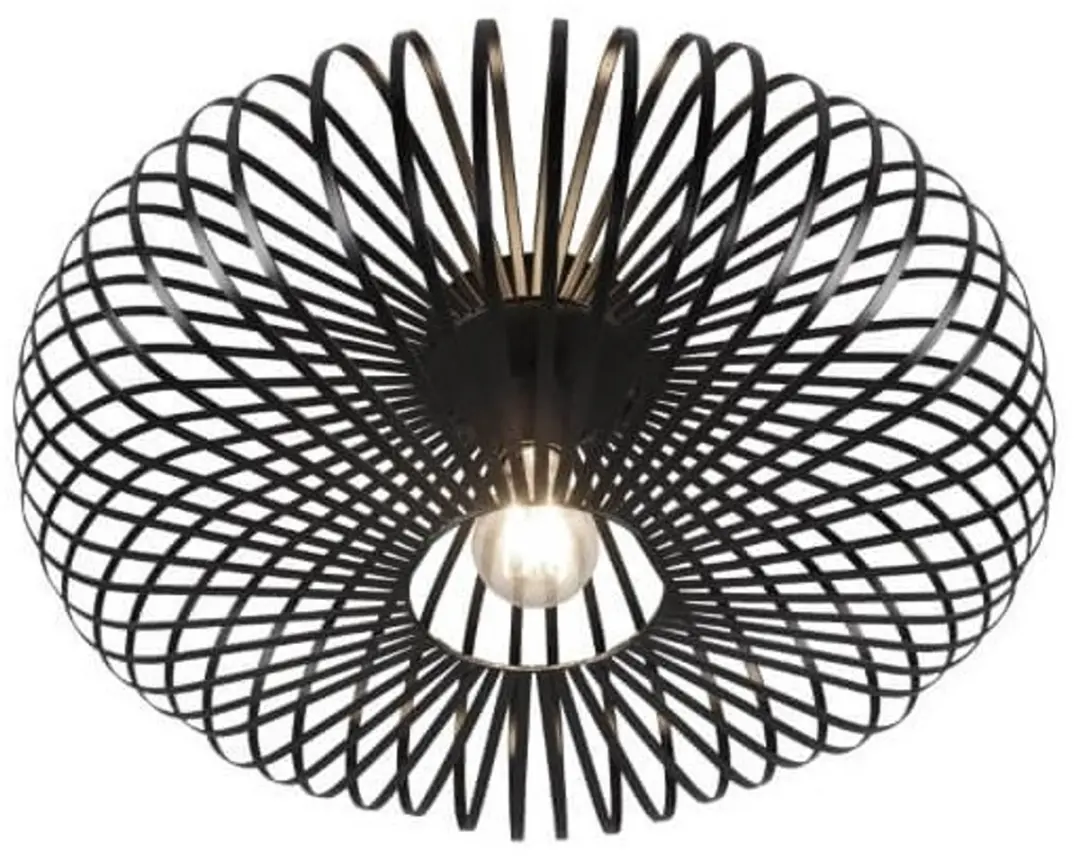 Trio Johann Plafondlamp