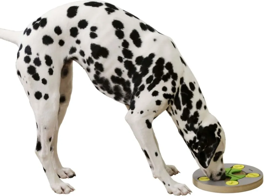 Kerbl-Hondenspeelgoed-denk-en-leer-Switch-25x2,5-cm