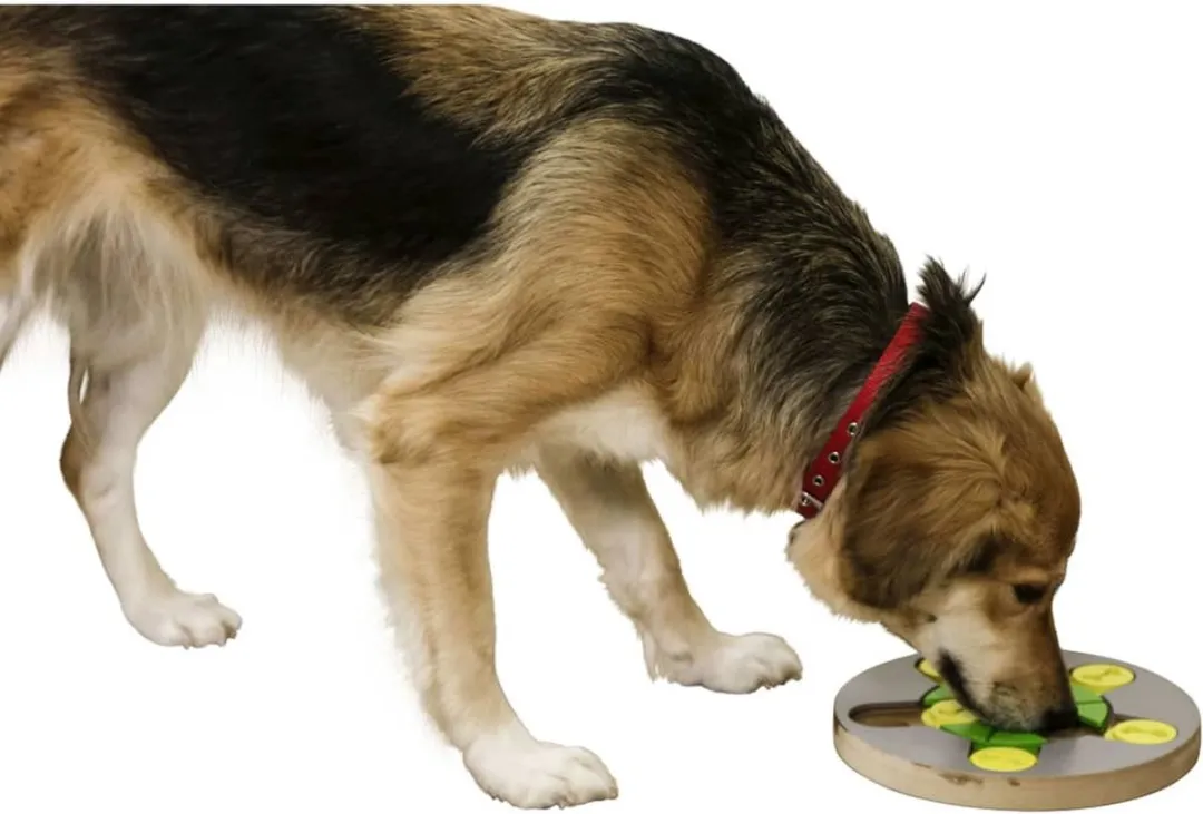 Kerbl-Hondenspeelgoed-denk-en-leer-Switch-25x2,5-cm