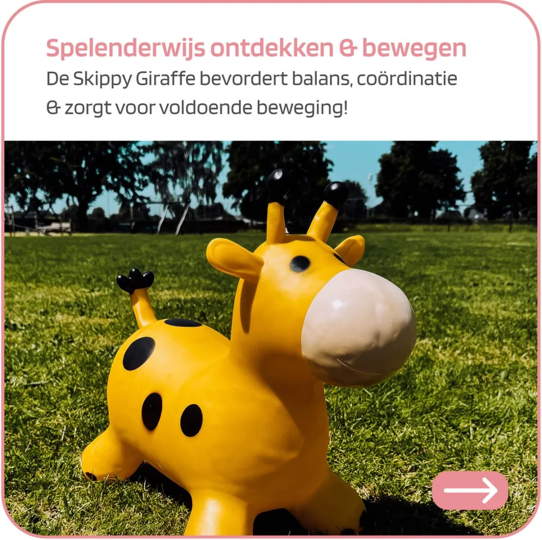 Jobber Toys Skippybal 70cm - TSN