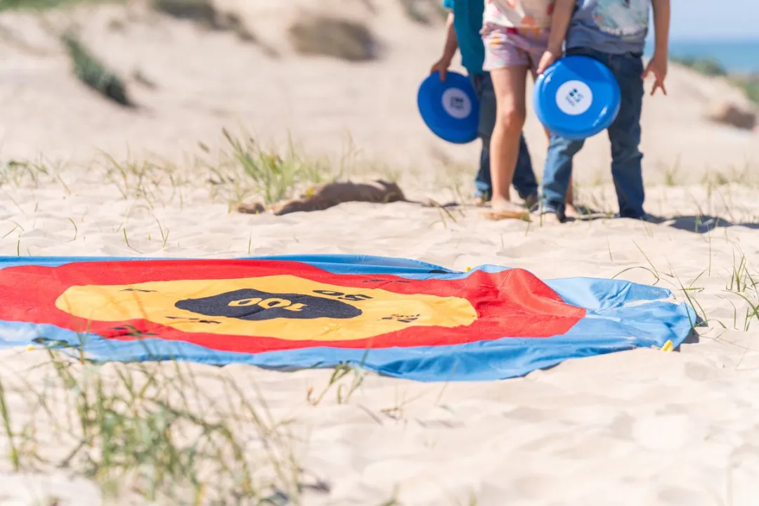 BS Toys Disc Deluxe Werpspel - Disc Gooien Spel - Kinderspeelgoed 1 tot 4 Spelers - Buitenspeelgoed - Werpspel kinderen - Gezelschapspellen kinderen - Cadeau kind - Spelletjes voor kinderen - Buiten speelgoed - Buitenspel - Buiten Spellen