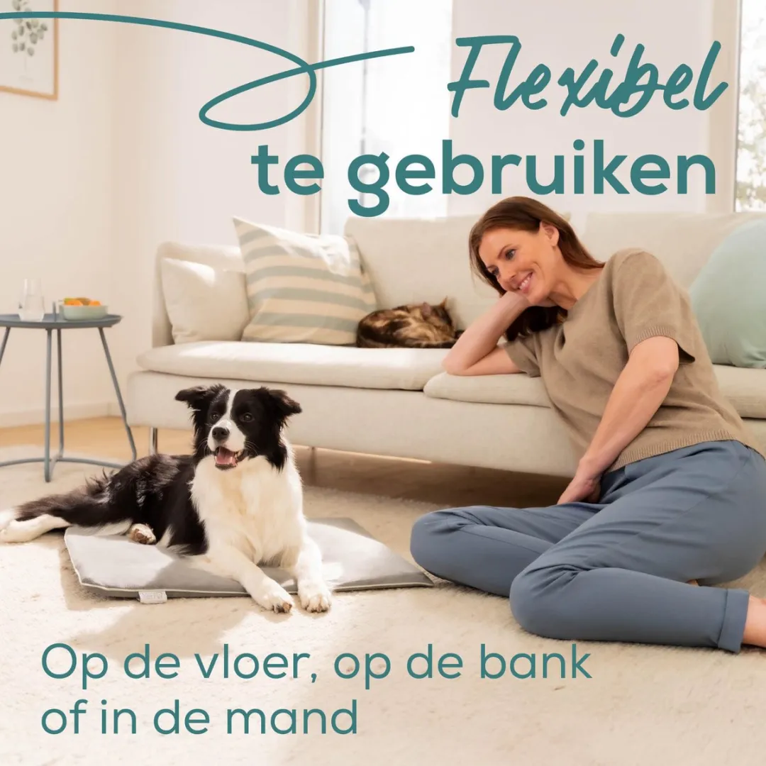 Beurer Sammy Elektrisch Warmtekussen 65x50cm - 2 Standen - Grijs