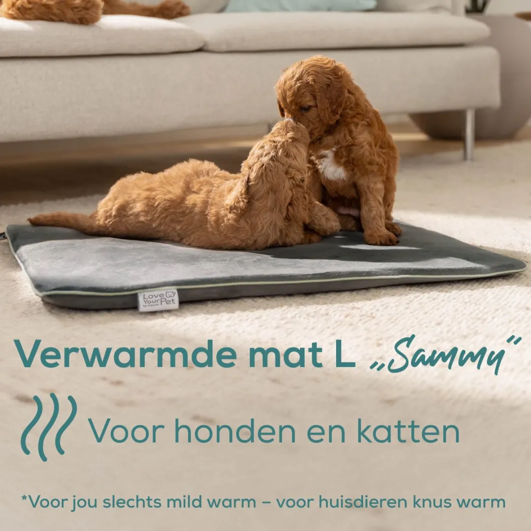Beurer Sammy Elektrisch Warmtekussen 65x50cm - 2 Standen - Grijs