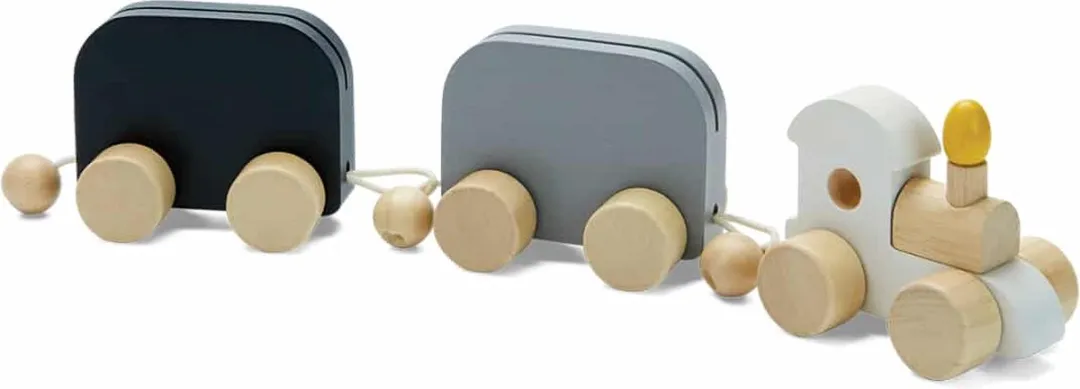 PlanToys Houten Speelgoed Feestelijke trein.