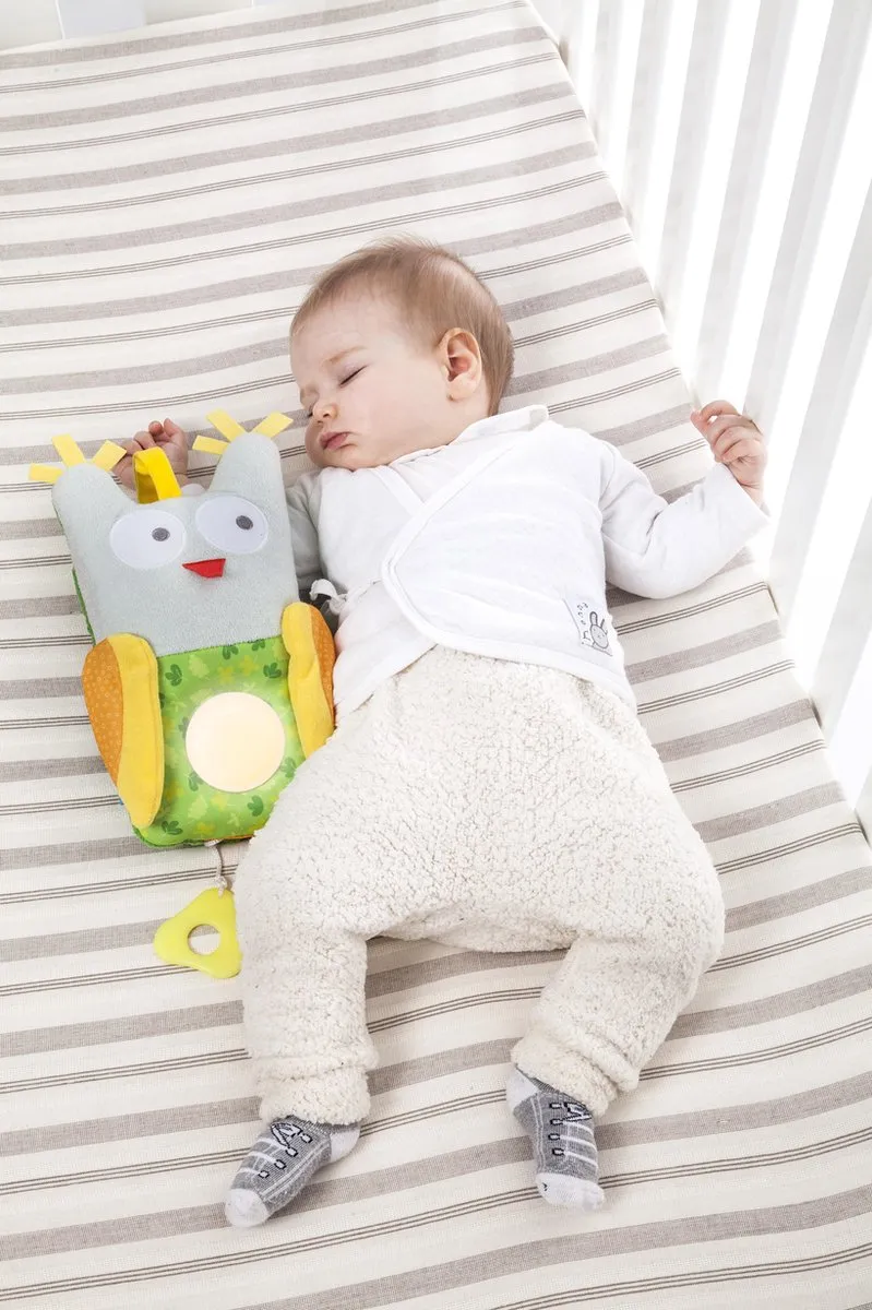 Taf Toys Nachtlampje Knuffel Uil - Multicolor - 3x AAA