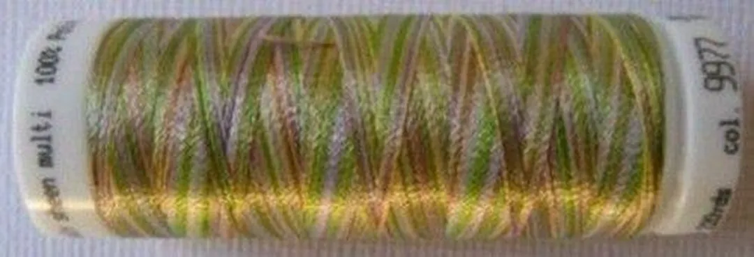 Amann Mettler Poly Multi Borduurgaren 9977 - 200m Multicolor