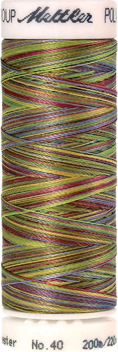 Amann Mettler Poly Multi Borduurgaren 9977 - 200m Multicolor