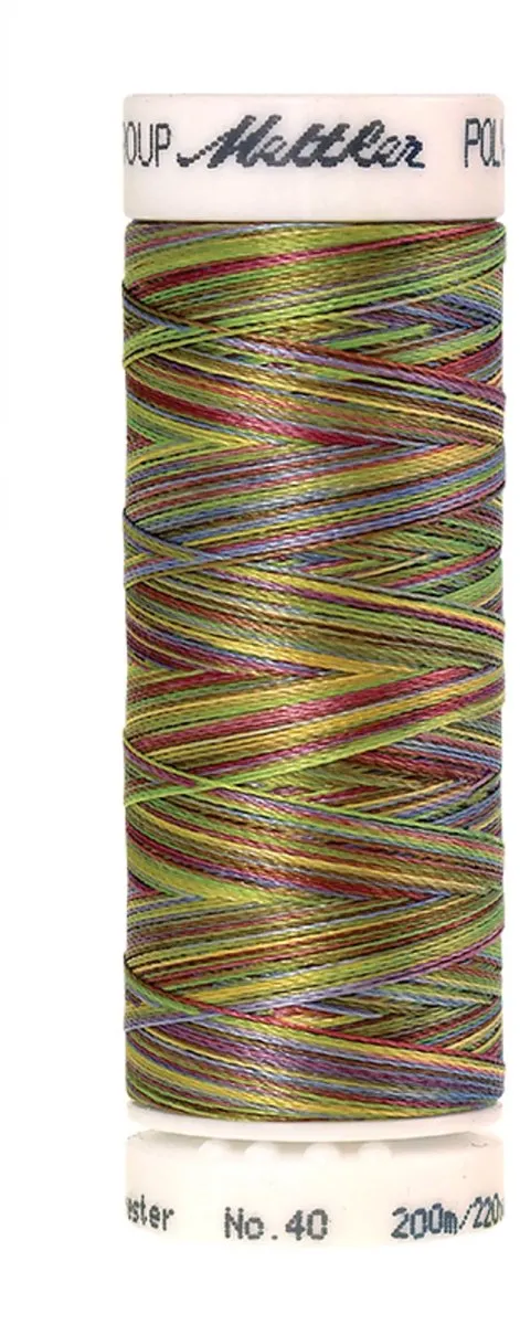 Amann Mettler Poly Multi Borduurgaren 9977 - 200m Multicolor