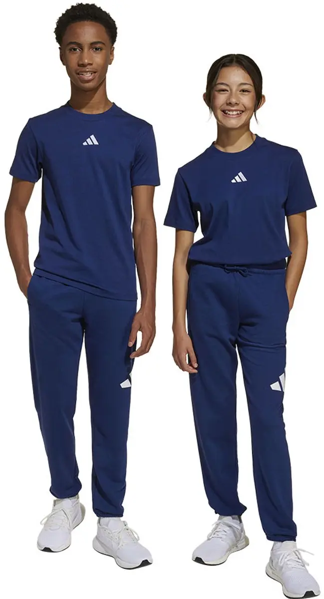 Adidas Essentials Big Logo Joggers Blauw 7-8 Years Kinderen
