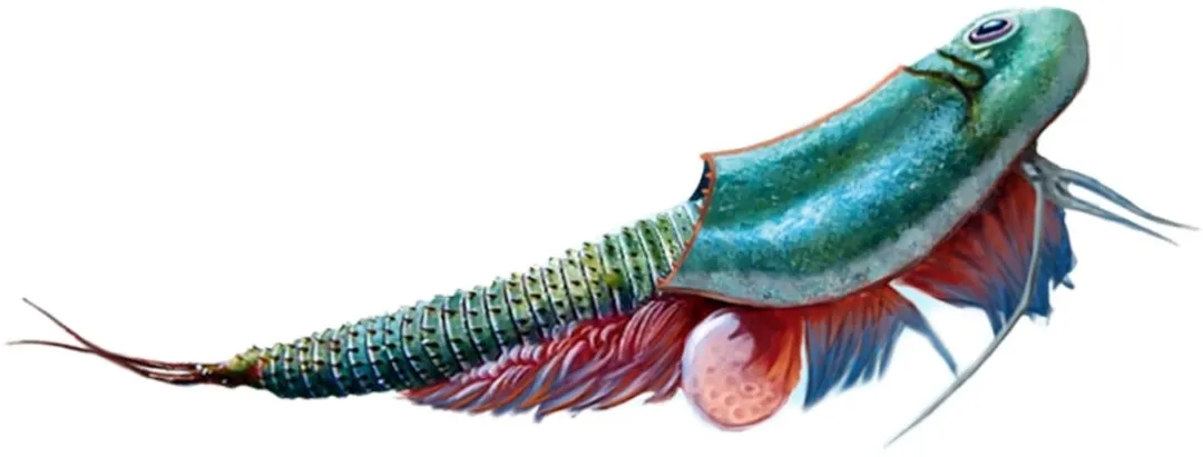 Kosmos Triops World 616748 Experimenteerset - Multikleurig