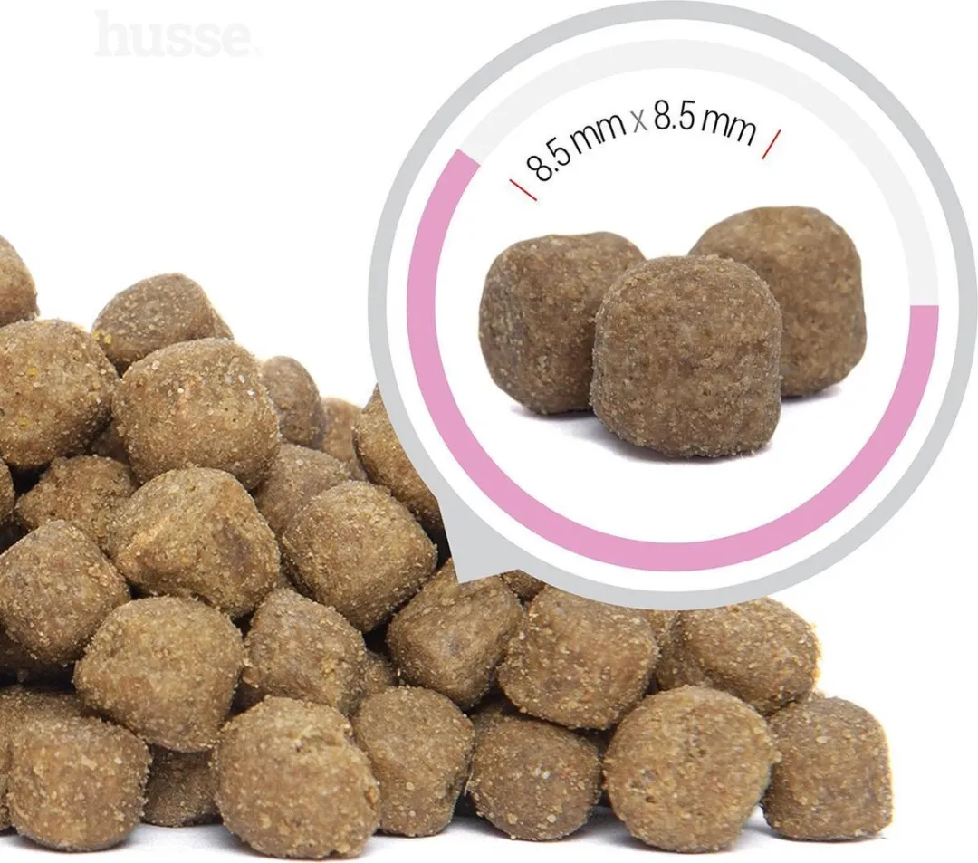 Husse Zalm en Rijst Mini - Hypoallergeen Hondenvoer, Hondenvoeding Droog, Hondenbrokken Hypoallergenic - Allergie Hond - 7 kg