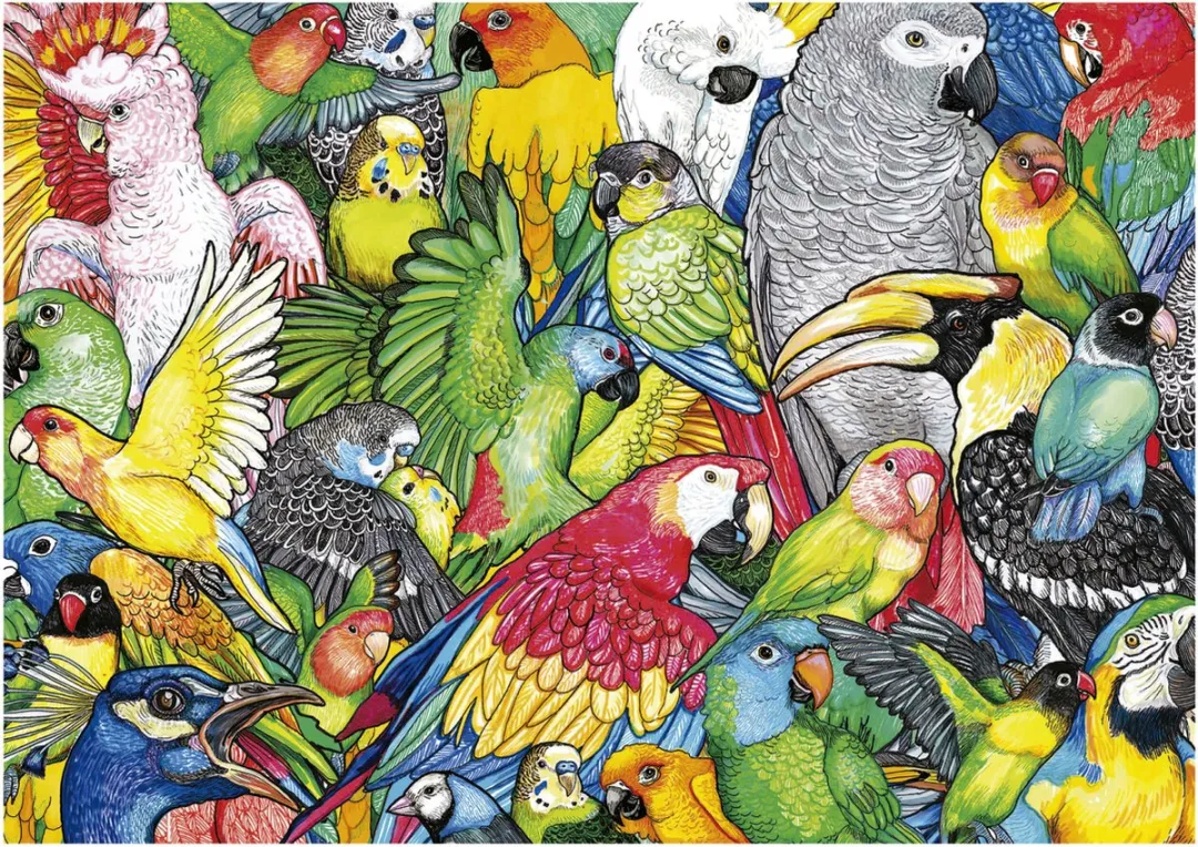 Educa Papegaaien Puzzle 500 Stuks - Multicolor
