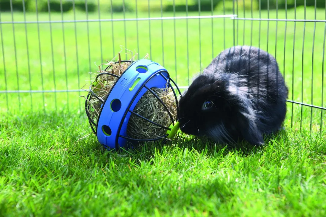 Savic Hooi- en Snackmolen Bunny Toy