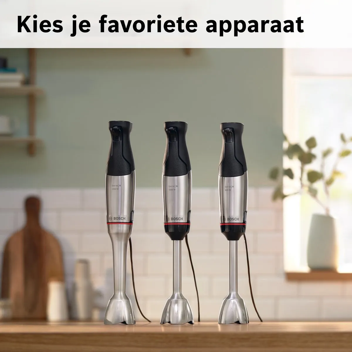 Bosch MSM6M633 Staafmixer 1000W - Roestvrijstaal