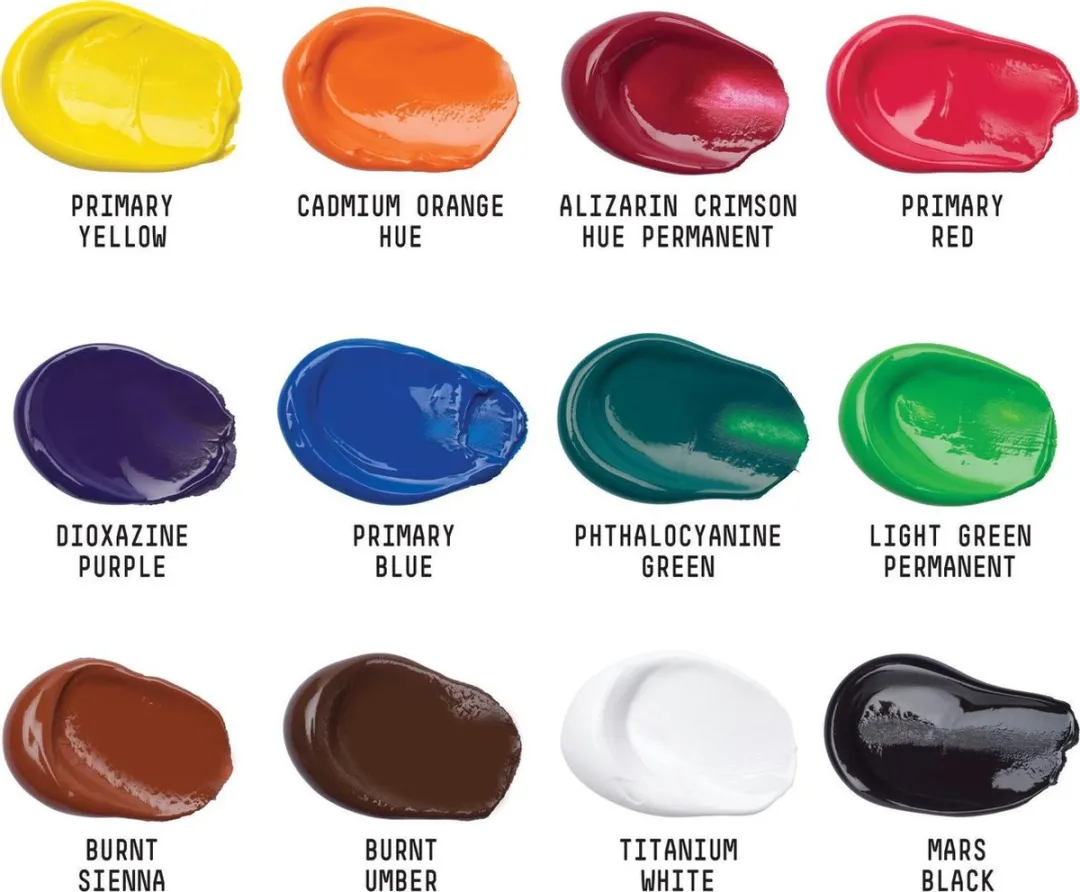 Liquitex Basics Acrylverf - 12 Kleuren 22ml