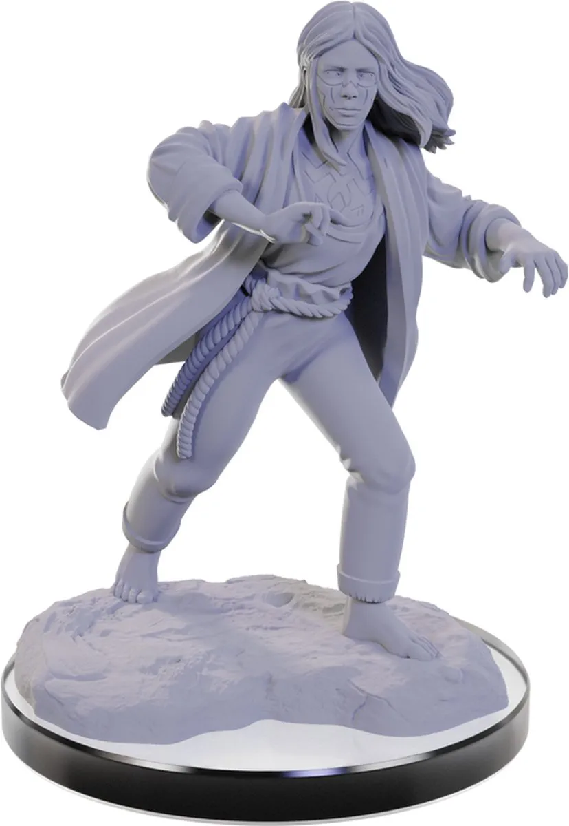 Wizkids D&D Nolzur's Marvelous Miniatures Reborn Paladin & Warlock - 2 Stuks
