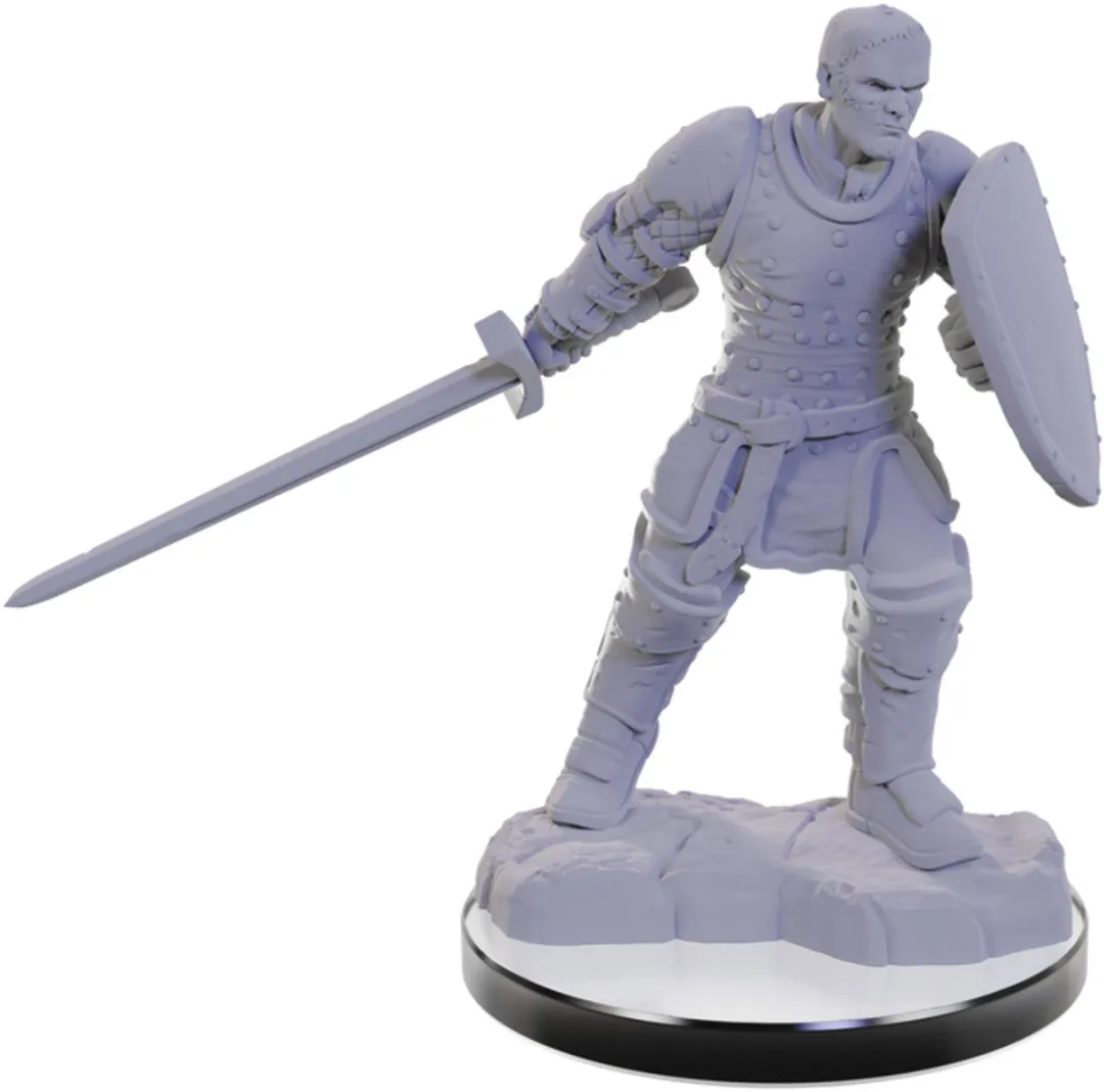 Wizkids D&D Nolzur's Marvelous Miniatures Reborn Paladin & Warlock - 2 Stuks