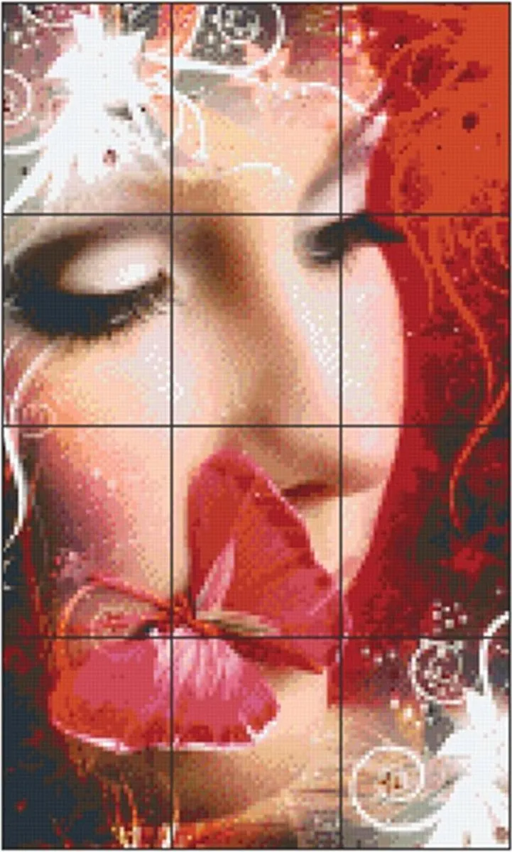 Pixelhobby Dame+Vlinder DST3735159