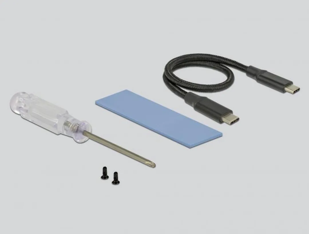 Delock DLCK-42600 M.2 NVMe Behuizing - USB-C - Zwart