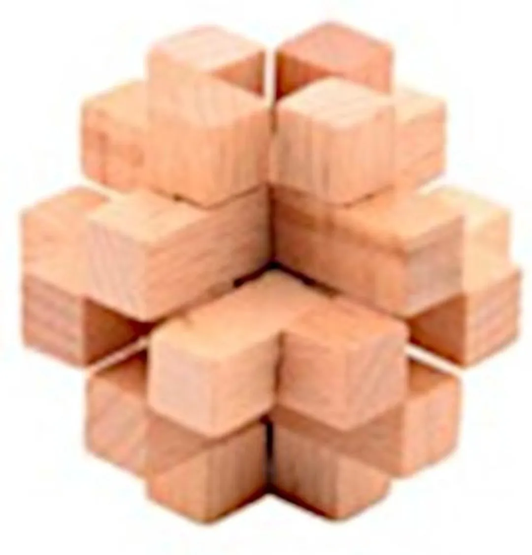 Johntoy Houten Hersenkraker Puzzel