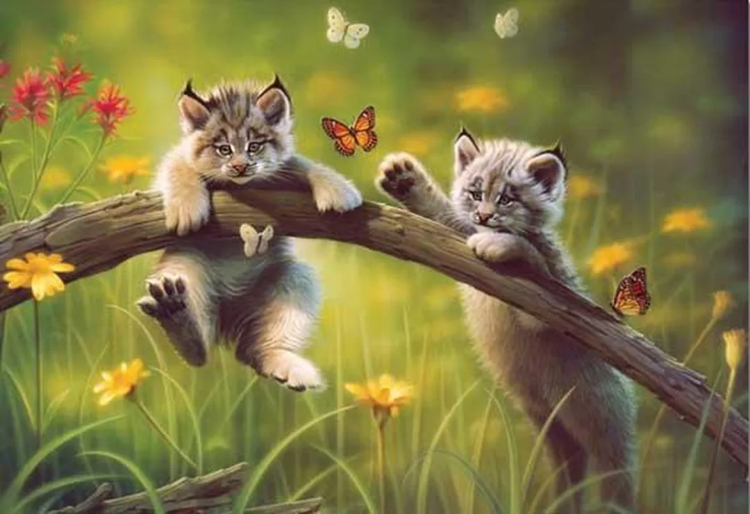 Educa Kittyland Legpuzzel 500 Stukjes
