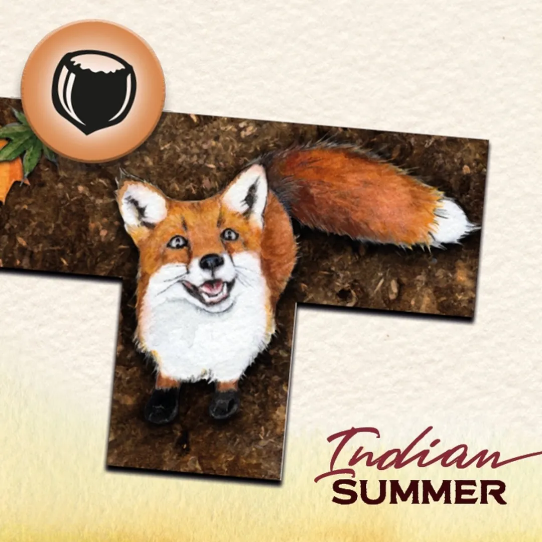White Goblin Games Indian Summer Gezelschapsspel - 2-4 Spelers