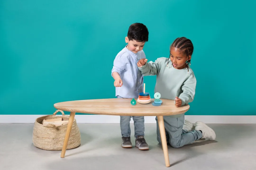 BS Toys Stapelringen GA544 - Houten Educatief Speelgoed - Meerkleurig