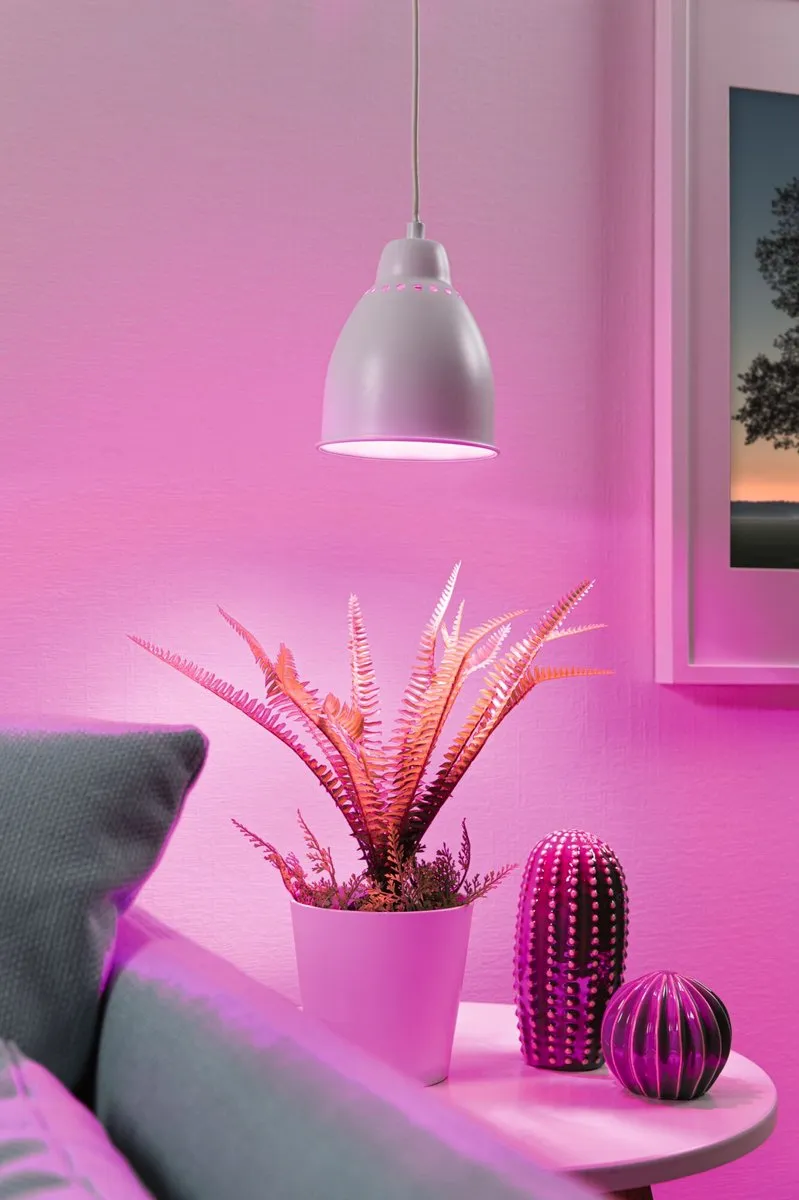 Paulmann Neordic Hanglamp Hilla LED-reflector E27 6,5W - 1300K Wit