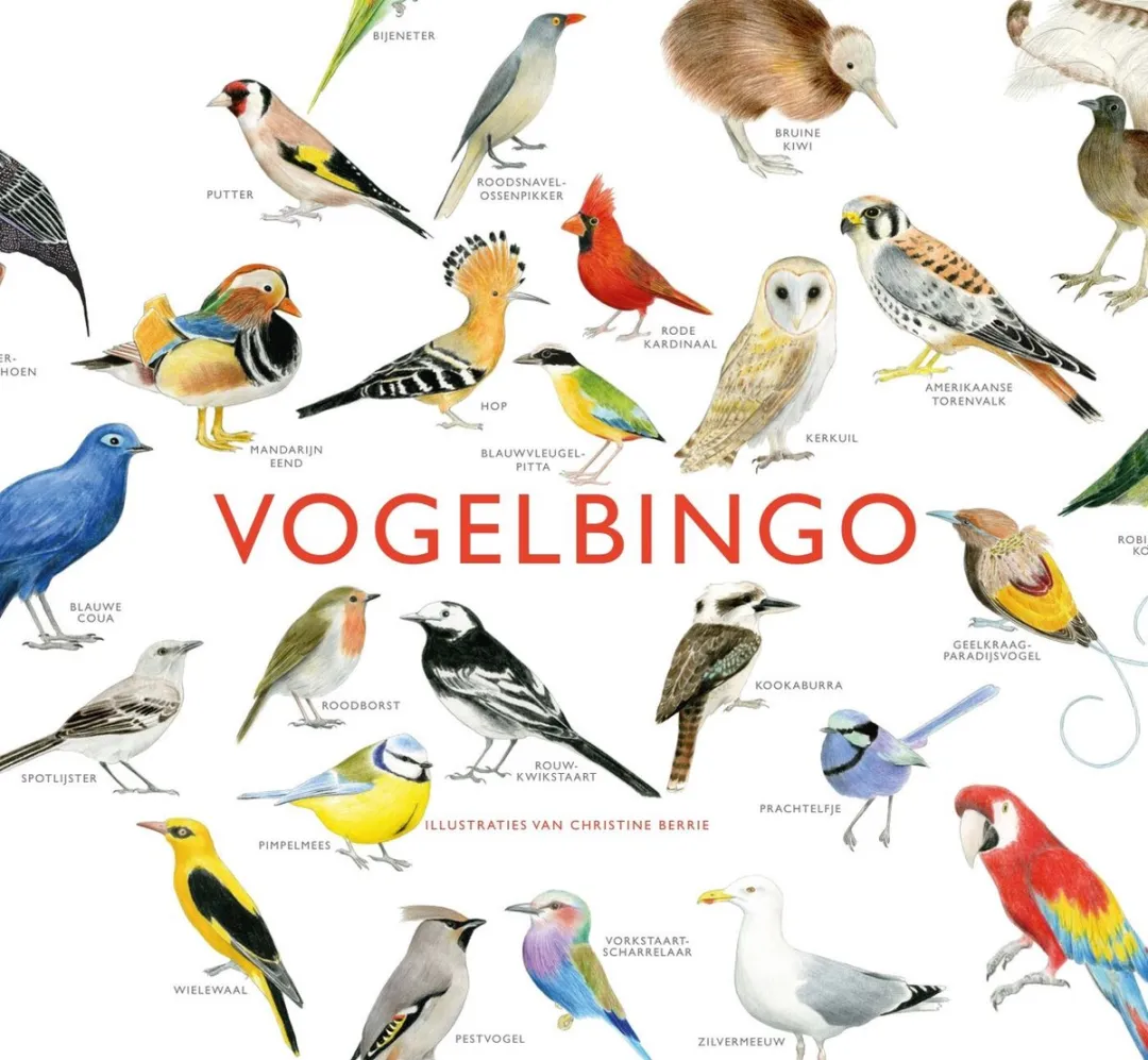 Kosmos Vogelbingo