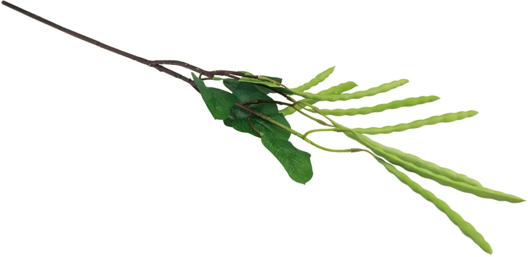 Kaemingk Kunstplant Groene Bonentak 68cm