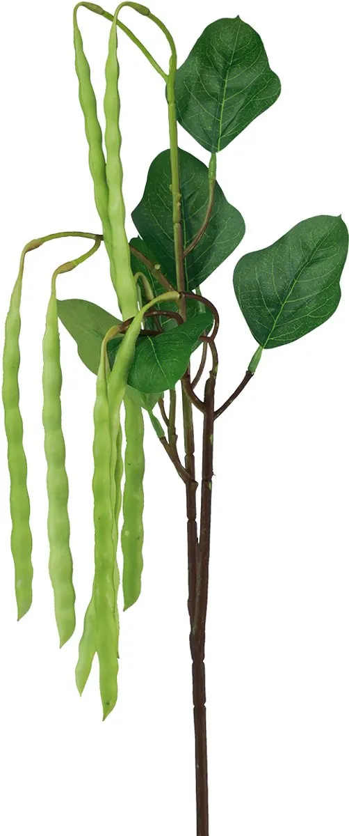 Kaemingk Kunstplant Groene Bonentak 68cm
