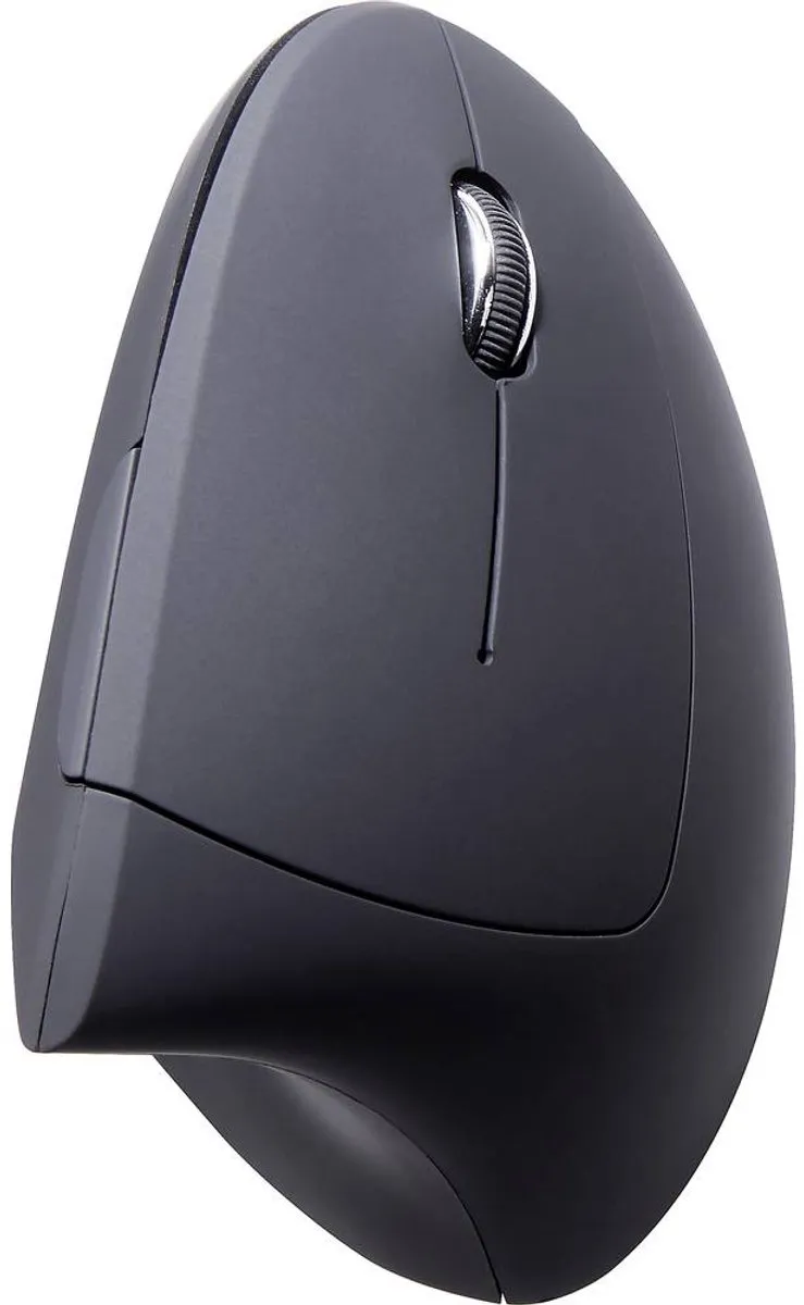 Renkforce RF-WM-322 Radiografische Ergonomische Muis - 1600 DPI - Zwart