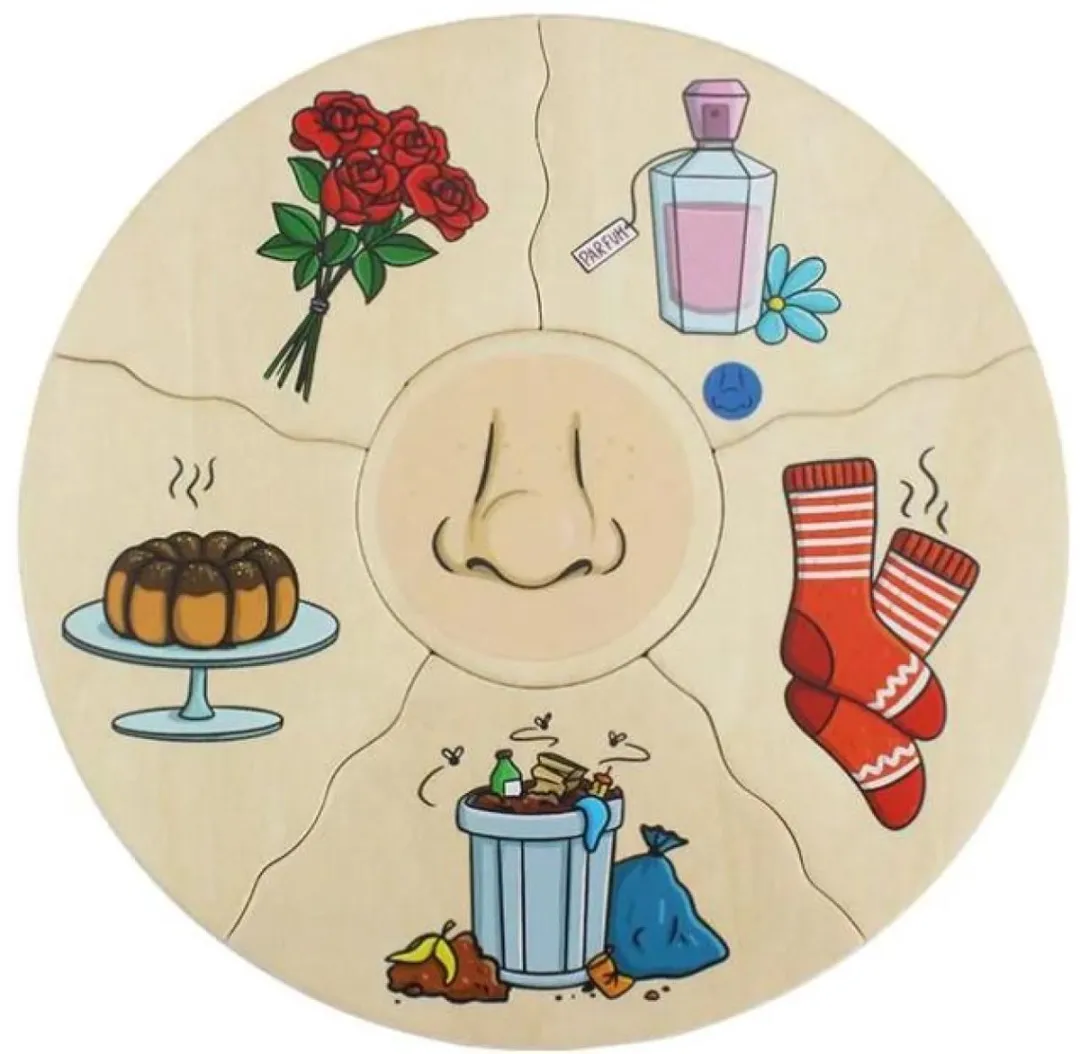 Cognitopuzzel 5 zintuigen - Beleduc - vanaf 4 jaar