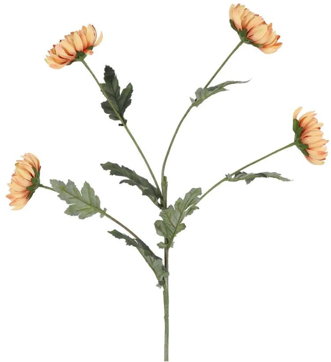 Kunsttak Chrysanthemum beige 20xH83,8cm.