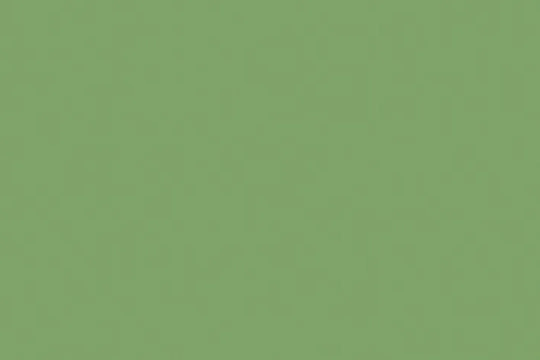 Folia Tekenpapier Appelgroen 50x70cm 130gr - 25 Vel