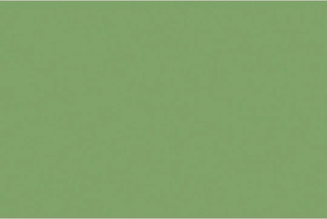 Folia Tekenpapier Appelgroen 50x70cm 130gr - 25 Vel
