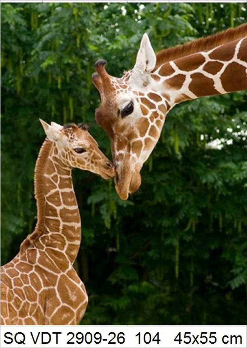 VDTOYS DIAMOND Painting VDTA104 Giraffen - 55x45cm
