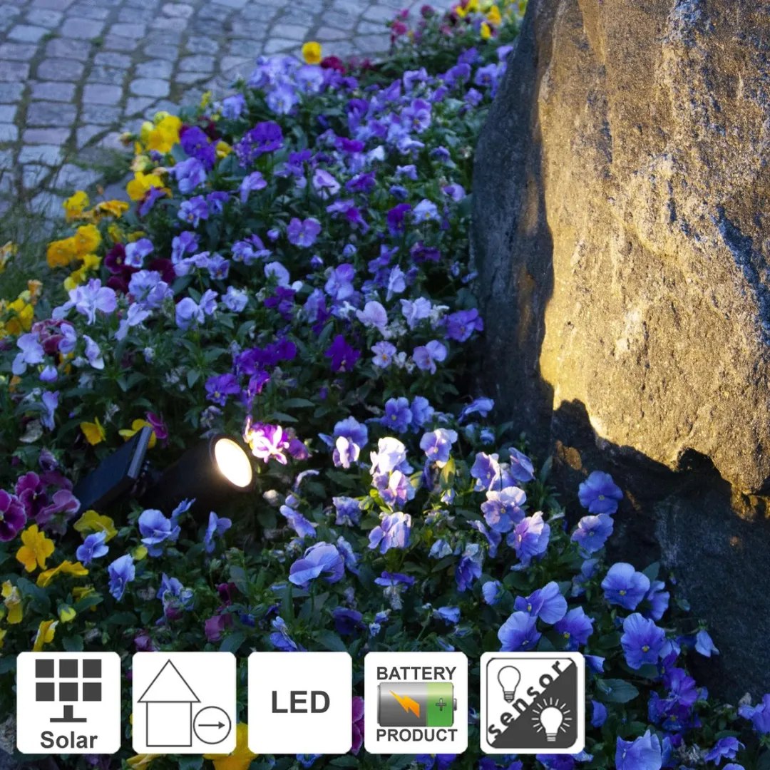 Star Trading 481-68 Spotje Zwart LED 0,064W